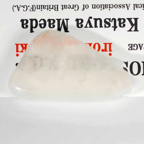 �ƥ���Сʥ桼�쥯�����ȡ�