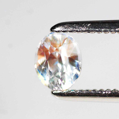 ����ǥ���/��֥�ɥ饤��