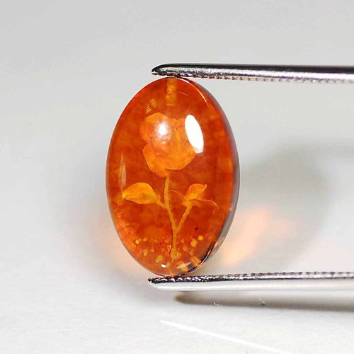 �ץ쥹����С��������