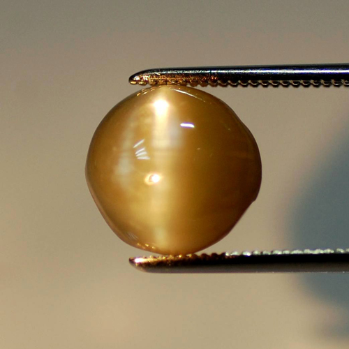 クリソベリル・キャッツアイ ルース (裸石) 6.515ct 【 8月3日