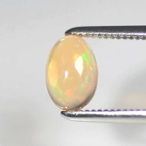 �ᥭ�������ѡ���