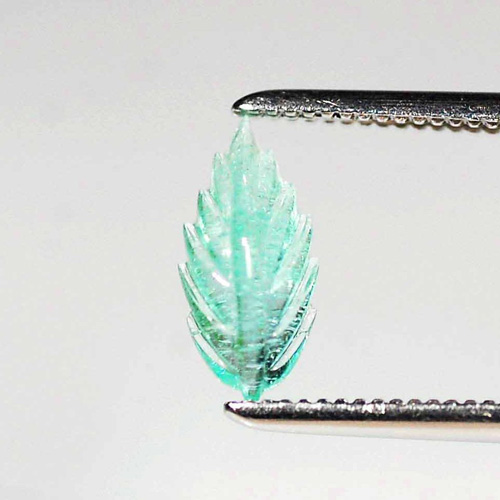 �ѥ饤�Хȥ�ޥ��ʥ����ƥ����դ���