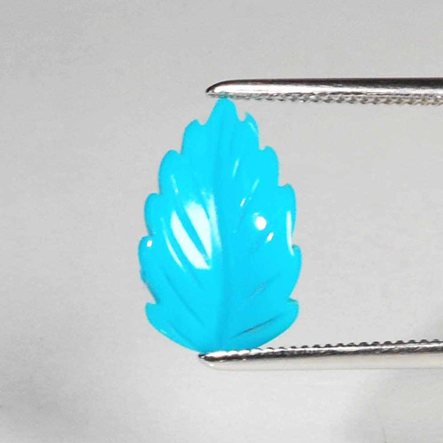 �ȥ륳�Сʥ����ӥ󥰡�