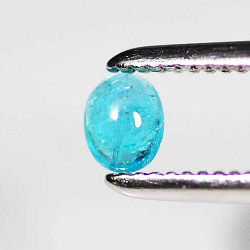 �ѥ饤�Хȥ�ޥ��