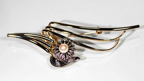 �ܿ���֥�����